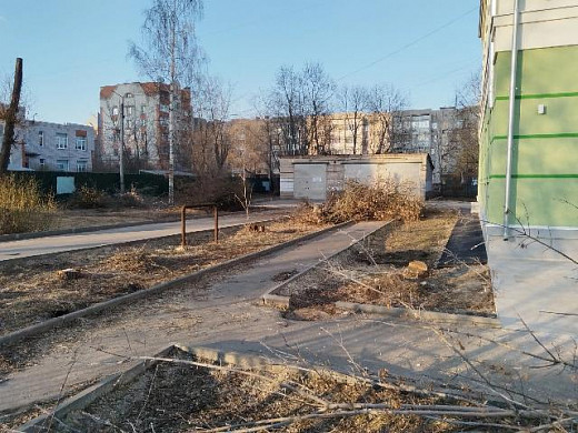Незаконно спиленные деревья до сих пор не убрали